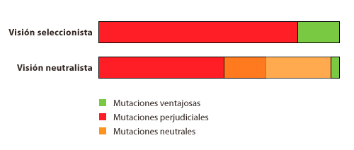 Visión seleccionista y neutralista de la evolución